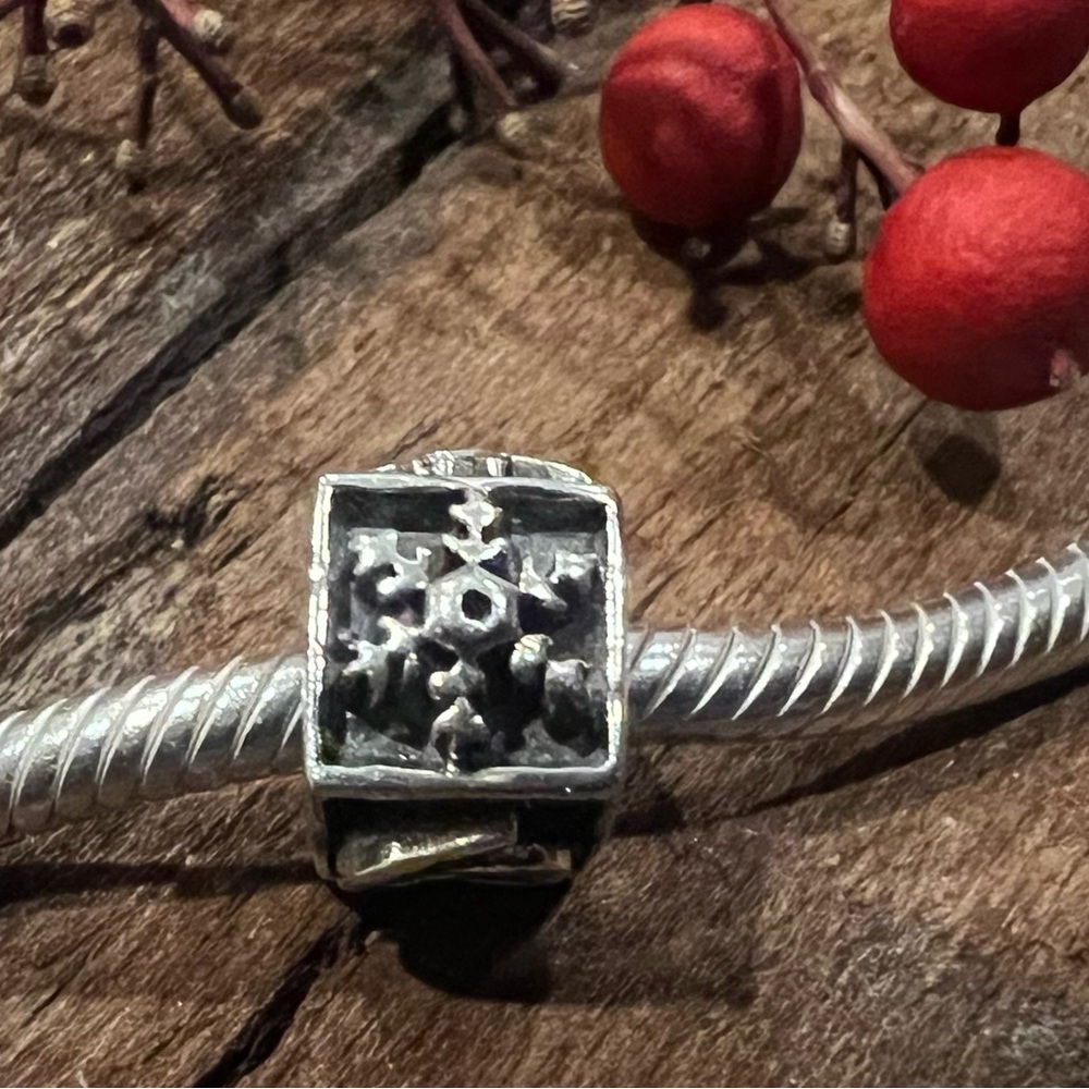 Authentic Chamilia Charm 4 Seasons Bead Cube Snowflake Sun Leaves Ocean 925 Oxi